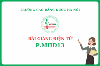 Bài giảng điện tử P.MHD13