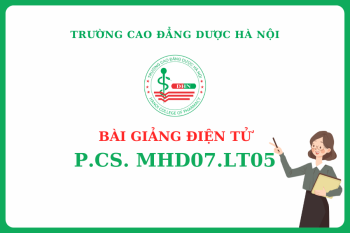 Bài giảng điện tử P.CS. MHD07.LT05