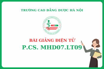 Bài giảng điện tử P.CS. MHD07.LT09