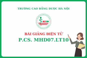 Bài giảng điện tử P.CS. MHD07.LT010