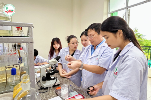 Ngành dược làm việc ở đâu? Những lựa chọn nghề nghiệp phổ biến hiện nay