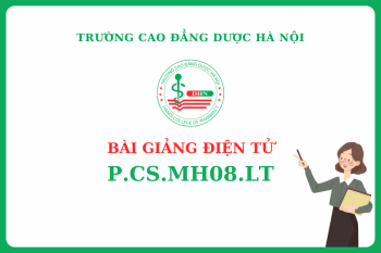Bài giảng điện tử P.CS.MH08.LT