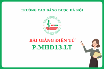 Bài giảng điện tử P.MHD13.LT